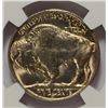 Image 3 : 1938-D BUFFALO NICKEL NGC MS-66 GEM