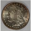 Image 2 : 1886 MORGAN DOLLAR ACG MS65 GEMMY!