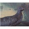 Image 2 : Splendid Bronze Sculpture Pheasant Bird