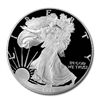 Image 1 : Proof Silver Eagle 1995-P