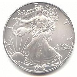 Uncirculated Silver Eagle 2006