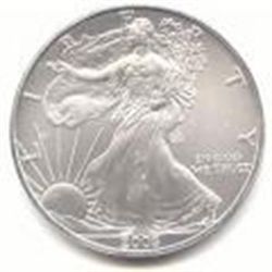 Uncirculated Silver Eagle 2005