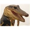 Image 2 : Humorous Standing Alligator Taxidermy
