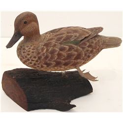 Green Wing Teal Duck Decorative Decoy