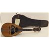 Image 1 : Vega Bowl Back Mandolin with Leather Case