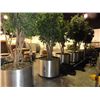 Image 1 : 6 Large Aluminum Tree Planters - 6 Times the Money