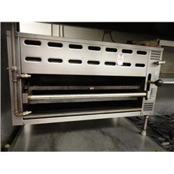 Montague Gas Salamander