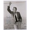 Image 1 : David Janssen