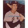 Image 1 : Ted Williams
