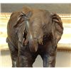Image 3 : Unique Bronze Sculpture Elephant