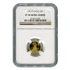 Image 1 : Certified Proof American Gold Eagle $5  PF70 NGC Dates