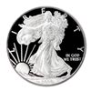 Image 1 : Proof Silver Eagle 2008-W