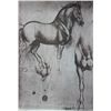 Image 1 : Horse sketch trials