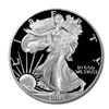 Image 1 : Proof Silver Eagle 2004-W