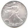 Image 1 : Uncirculated Silver Eagle 2006