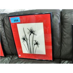 Framed black and white flower print