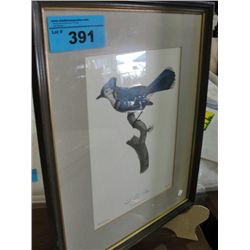 Framed bird print