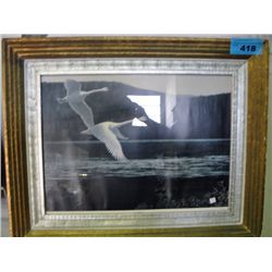 Framed limited edition signed and numbered print