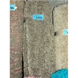Multicolored beige small shag area rug