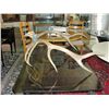 Image 1 : Set of elk antlers