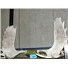 Image 1 : Set of moose antlers