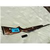 Image 1 : 22caliber rifle with clip *PAL required*