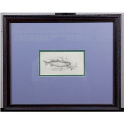 Rainbow Trout by Roger Cruwys