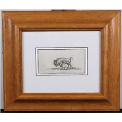 Buffalo Etching by Ace Powell
