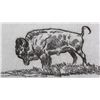 Image 3 : Buffalo Etching by Ace Powell