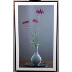 "3 Cosmos in White Vase" by Rein D. Gillstrom