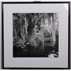 Image 2 : "Big Cypress Gallery" by Clyde Butcher