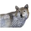 Image 14 : "Return to Yellowstone" by Roger Kruckenberg