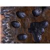 Image 13 : "In Pursuit" by Roger Kruckenberg