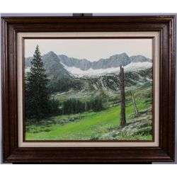 Eagle Cat Wilderness by Bob Reid