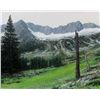 Image 2 : Eagle Cat Wilderness by Bob Reid
