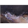 Image 14 : "Top of the Fall" by Stephen Kovacs