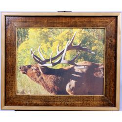 Elk Art by R.G. Smith in Old Faithful Inn Frame