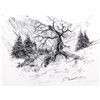 Image 2 : Original Pen & Ink Landscape Early 20th Century