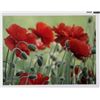 Image 1 : "Poppy Study" by Rein Gillstrom