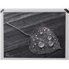 Image 1 : "Water Droplets on an Aspen Leaf" Gillstrom