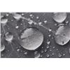 Image 3 : "Water Droplets on an Aspen Leaf" Gillstrom