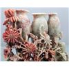 Image 3 : Hand Carved Stone Soapstone Flower Vase