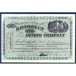 Brooklyn Mining Co. Issued Stock.
