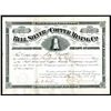 Image 1 : Bell Silver and Copper Mining Co., 1881, 250 Shs. I/U Stock.