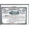 Image 1 : Cleveland, Indiana and St. Louis Railroad Co., Issued Stock.