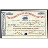Image 1 : Consolidated Steamship Co. Issued Stock.