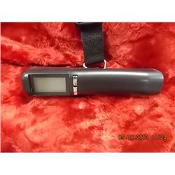HAND HELD DIGITAL SCALE