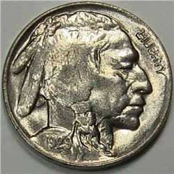 1929 Buffalo Nickel Near Gem or maybe Full Gem