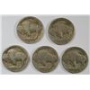 Image 2 : 5- DIFFERENT BUFFALO NICKELS (16,16-D,16-S,17,17-D) GOOD-FINE