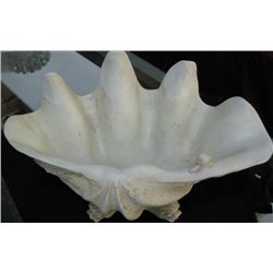 Sea Shell Table Top Decor, 20 x12 x12 